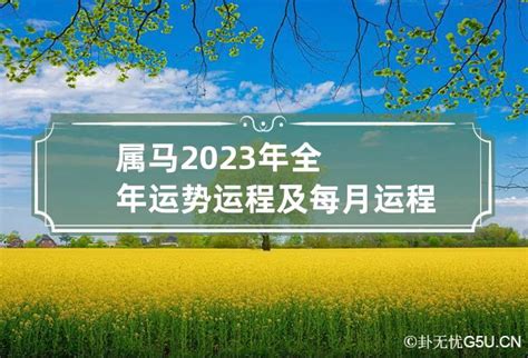 1978属马2023年运程|1978年属马男性2023年运势及运程详解 78年出生属马。